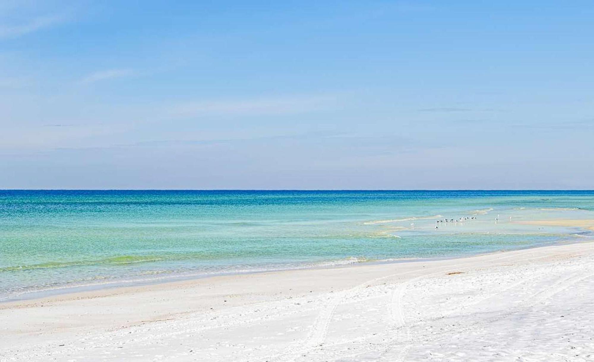 Majestic Beach Towers 1-1803 Panama City Beach Bagian luar foto